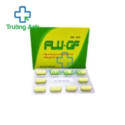 Flu-GF Armephaco - Thuốc điều trị cảm cúm hiệu quả